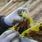 Gutter cleaning